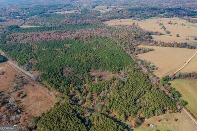 #46 Owens Dairy Rd, Lyerly, GA 30730 - photo 7