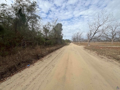 Parcel  A Wiggum Rd & St James Rd, Cochran, GA 31014 - photo 4