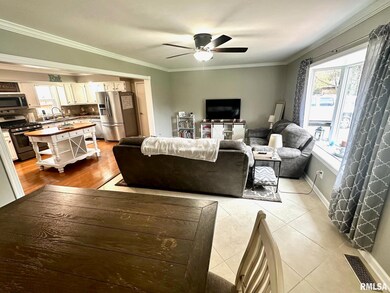 117 W Point Dr, Jacksonville, IL 62650 - photo 6