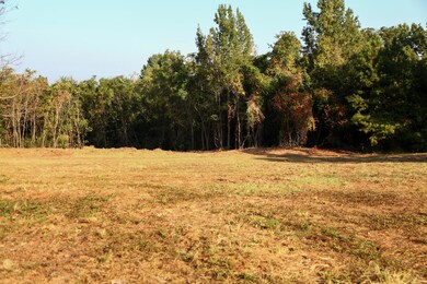 6330 Catchall Rd, Dalzell, SC 29040 - photo 5