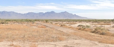 3812 Rd SW, Deming, NM 88030 - photo 2