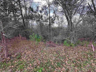 322 Wilsons Creek Bend, Bonaire, GA 31005 - photo 7