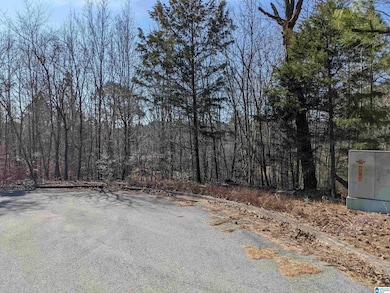 0 (Lot 242) Winfrey Ln unit 242, Anniston, AL 36206 - photo 6