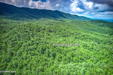 2-web-or-mls-Pine Valley Ranch 1
