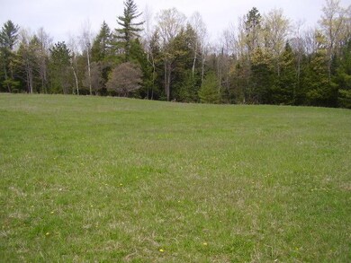 View # 5 - Food Plot Area