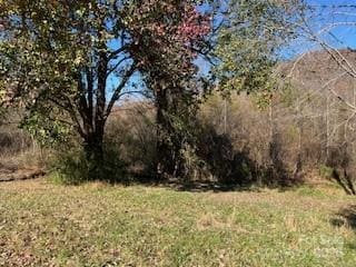 418 Owl Hollow Rd, Marion, NC 28752 - photo 7