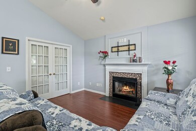 Living room featuring dark wood-type flooring, fre
