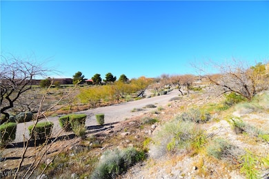 1901 Villa Palms Ct unit 101, Las Vegas, NV 89128 - photo 3