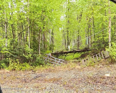 another trail on the 40 acres