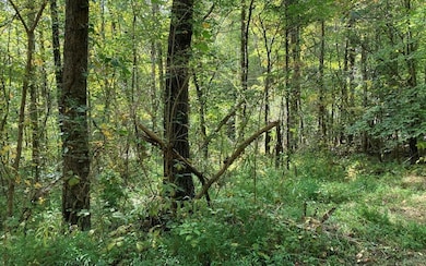 11 Mountain View Trail, Murphy, NC 28906 - photo 3