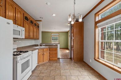 321 Meadow View Rd, Durango, CO 81301 - photo 7