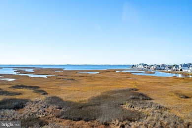 119 Old Landing Rd unit 302B, Ocean City, MD 21842 - photo 6