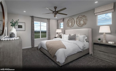 Albany - MODEL HOME PHOTO