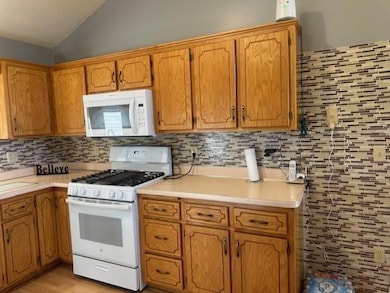 1147 142nd Ln NW, Andover, MN 55304 - photo 4