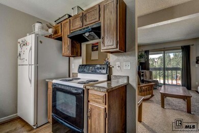 1565 Shadow Run Frontage, Steamboat Springs, CO 80487 - photo 5