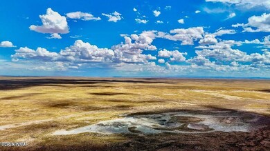 20251010080920208892000000-o