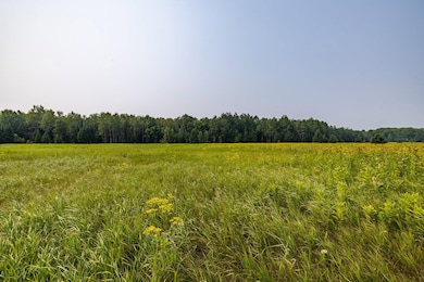 13 Acres Whitetail Ln, Tipler, WI 54542 - photo 5