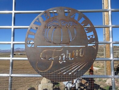 3995 Bacon Rind Rd, Reno, NV 89510 - photo 6