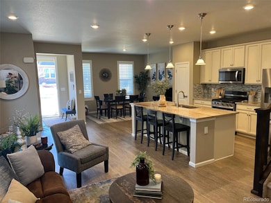 3793 Happyheart Way, Castle Rock, CO 80109 - photo 6