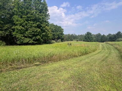 V/L S Dow Rd, West Branch, MI 48661 - photo 7