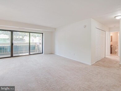 6137 Leesburg Pike unit 210, Falls Church, VA 22041 - photo 3