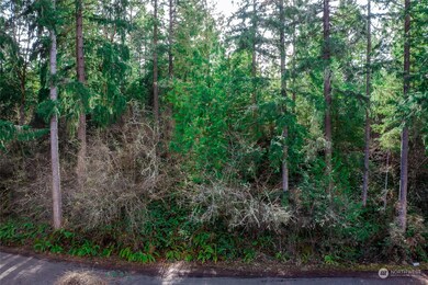 19706 199th St E, Orting, WA 98360 - photo 2