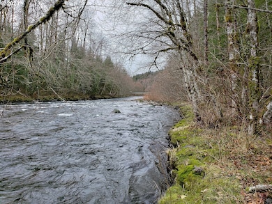 0 E Barlow Trail Rd unit 369670884, Brightwood, OR 97011 - photo 2