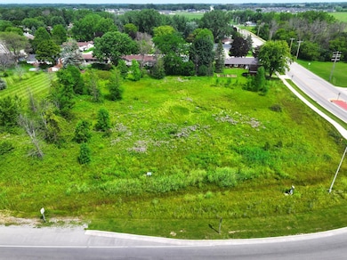 0 Highway 29, Bellevue, WI 54311 - photo 6