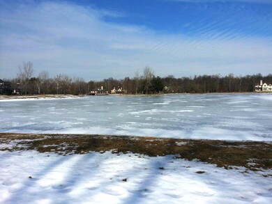 View of Pond