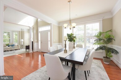 4706 Barnum Ln, Alexandria, VA 22312 - photo 7