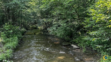 0 Catheys Creek Rd unit 25510509, Hampshire, TN 38461 - photo 7