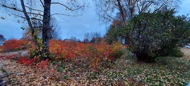 20221026_185112 (002)