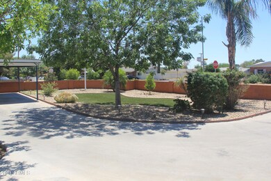 1442 Driveway3