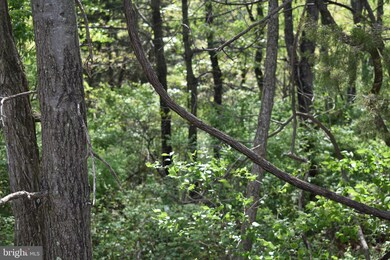 0 Maple Ridge unit MDWA179556, Hancock, MD 21750 - photo 3