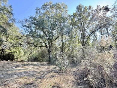 5343 Alabama 153, Samson, AL 36477 - photo 4