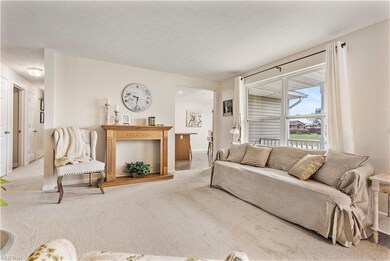 Carpeted living room featuring light carpet and a 