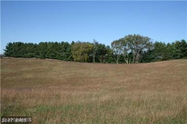 16 Ashbourne Ln, Rixeyville, VA 22737 - photo 4