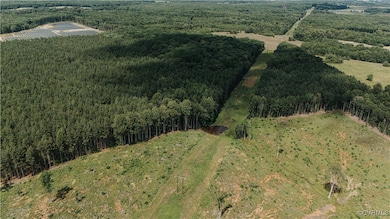 00 Holly Tree Dr, Pamplin, VA 23958 - photo 6