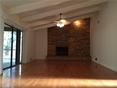 Family Room and chimney