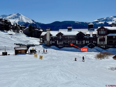 14 Hunter Hill Rd unit 203, Crested Butte, CO 81225 - photo 2