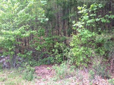 0 Northmont Lake Dr unit 64 885266, Asheboro, NC 27205 - photo 5