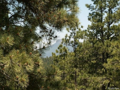 33161 Gallinas Pkwy unit D24, Trinidad, CO 81082 - photo 2