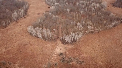 32294 93rd St, Pierz, MN 56364 - photo 3