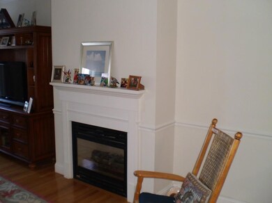 Gas fireplace in living room.
