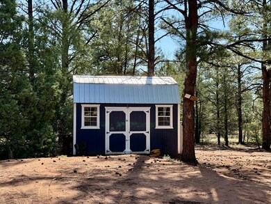 19 W Bobcat Dr, Ramah, NM 87321 - photo 5