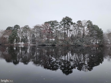 227 Canal Park Dr unit 206, Salisbury, MD 21804 - photo 4