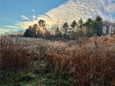 181 Short Crumhorn Rd, Maryland, NY 12116 - photo 6