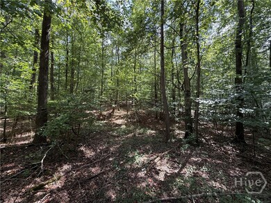 1276 Winns Lake Rd, Comer, GA 30629 - photo 5