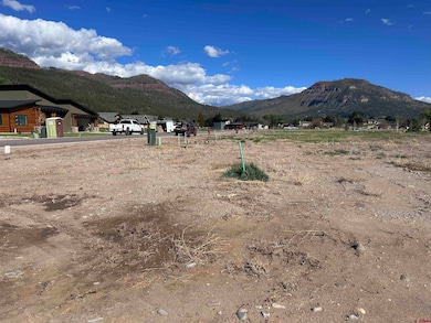 58 W Dalton Rd, Durango, CO 81301 - photo 3