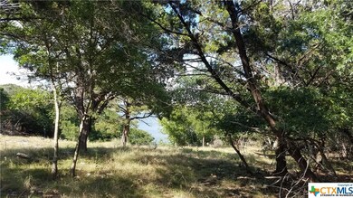 5561 Cliff Ln, Temple, TX 76502 - photo 3